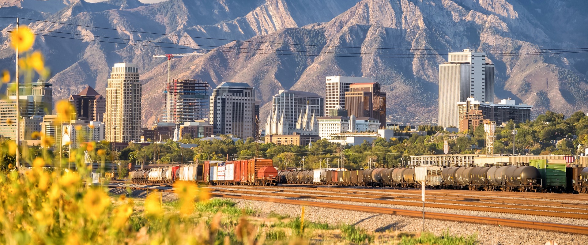 The Average Cost of Books at Book Festivals in Salt Lake County, Utah