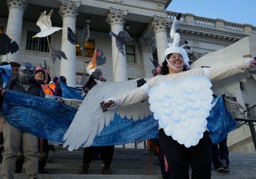 The Growing Popularity of Book Festivals in Salt Lake County, Utah